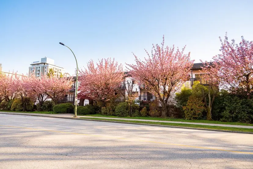 Property at ••• W 3rd Street, North Vancouver, BC