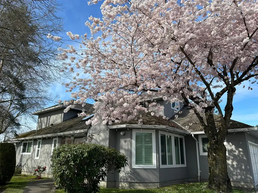 Property at ••• Capella Drive, Richmond, BC