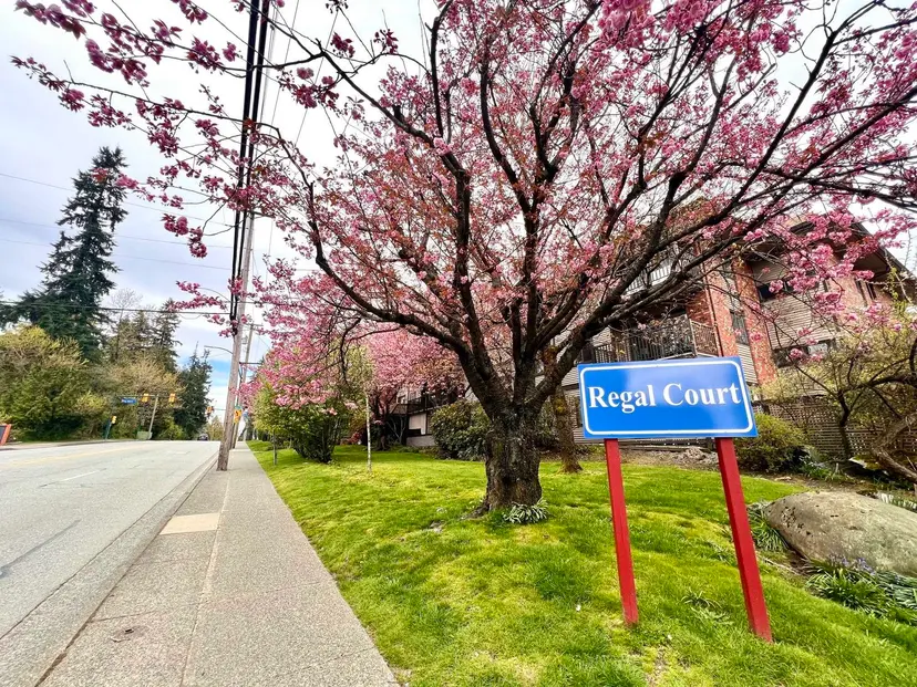 Property at ••• Blue Mountain Street, Coquitlam, BC